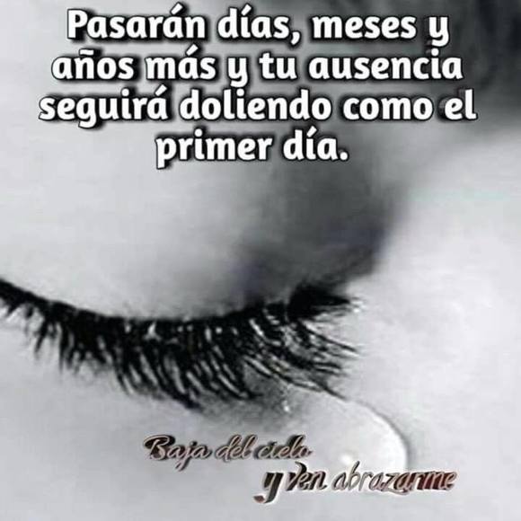 Meet your Posher, Rosa - Picture 1 of 1